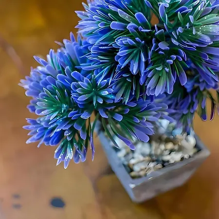 Estudio Con Aire Acondicionado Centro Del Pueblo *