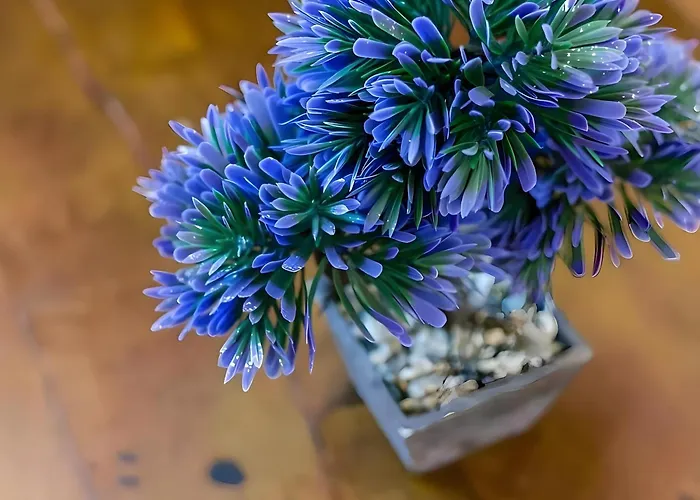 Estudio Con Aire Acondicionado Centro Del Pueblo *